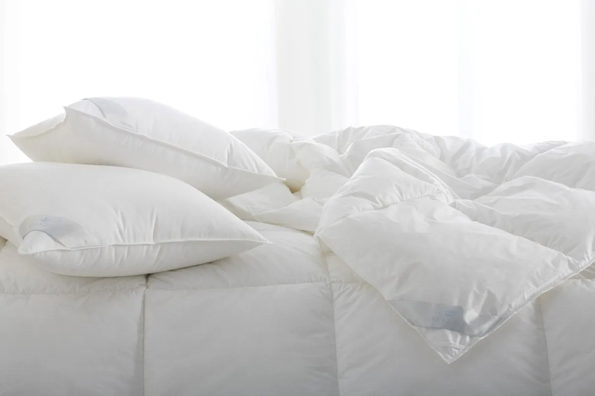 Bergen Down-Free Comforter by Scandia Home