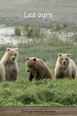 Collection Lecteurs forts - B: Les ours (N18)