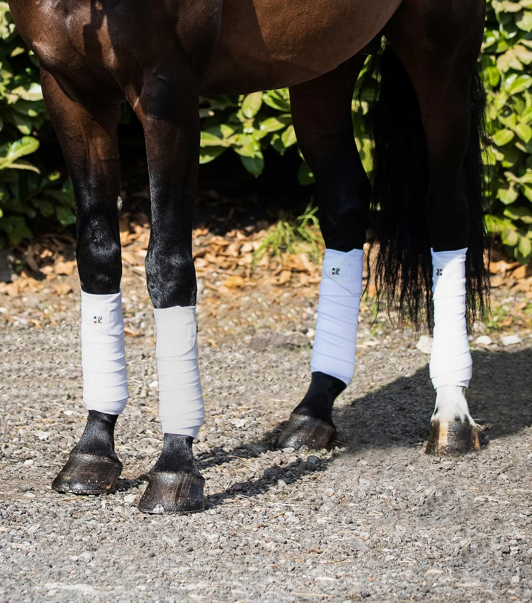 Horse Polo Fleece Bandages White