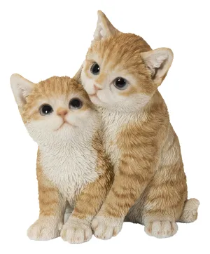 Kittens Hugging - Orange