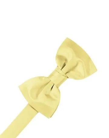 Latte Luxury Satin Bow Ties