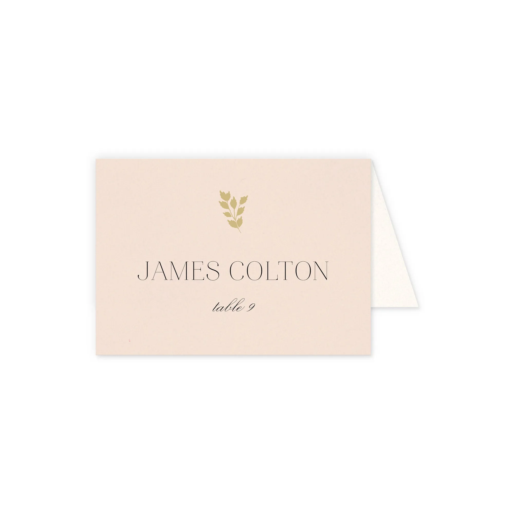 Place cards with guest details