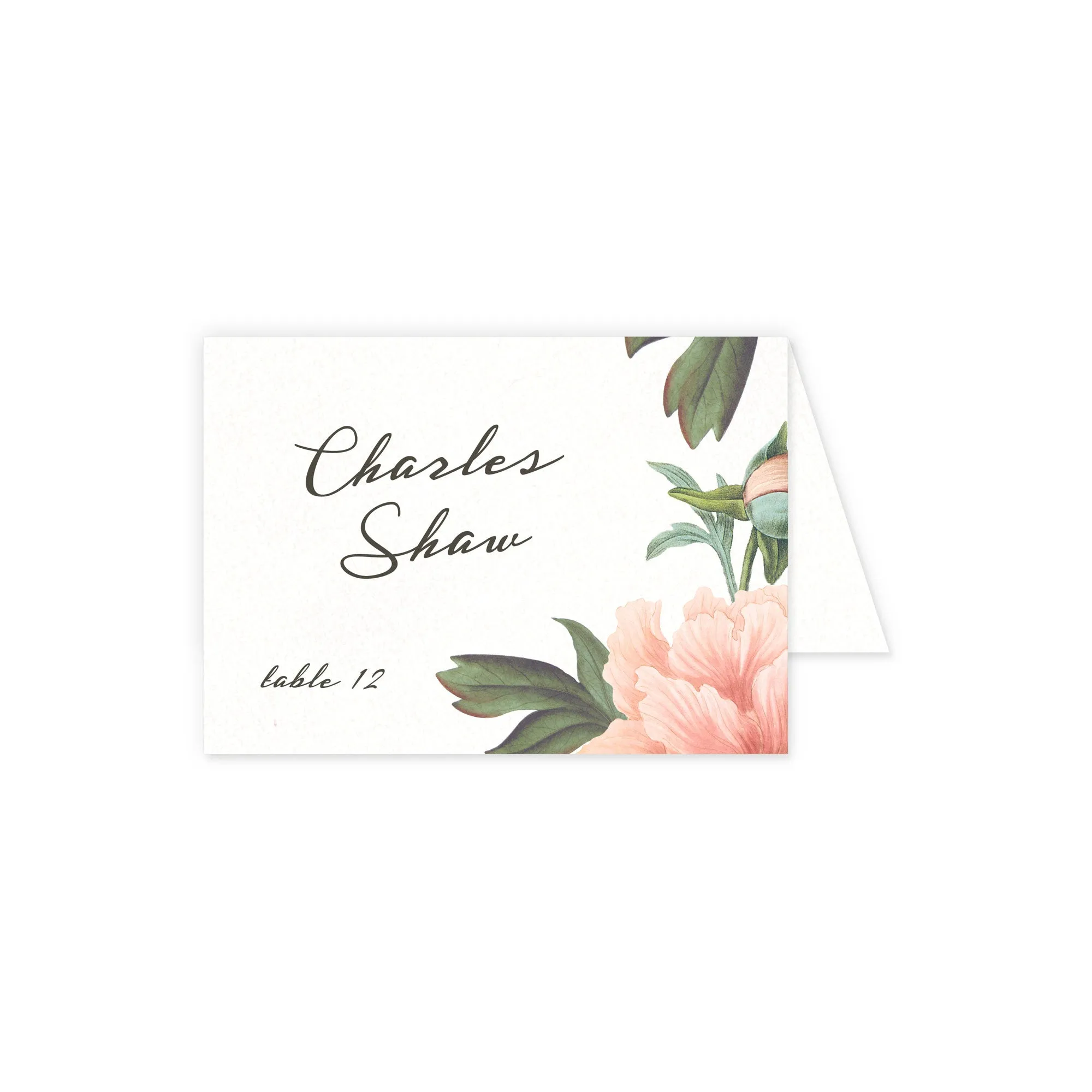 Place cards with guest details