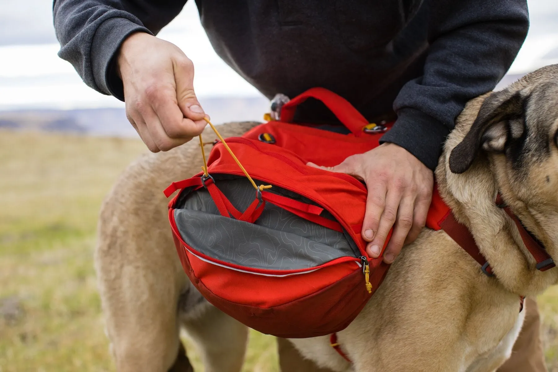 Ruffwear Palisades Dog Backpack