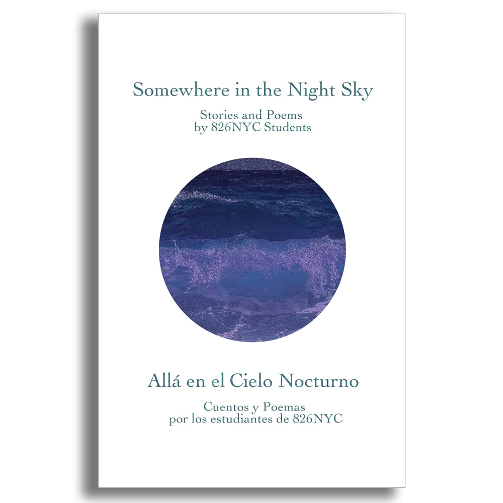 Somewhere In the Night Sky (eBook)