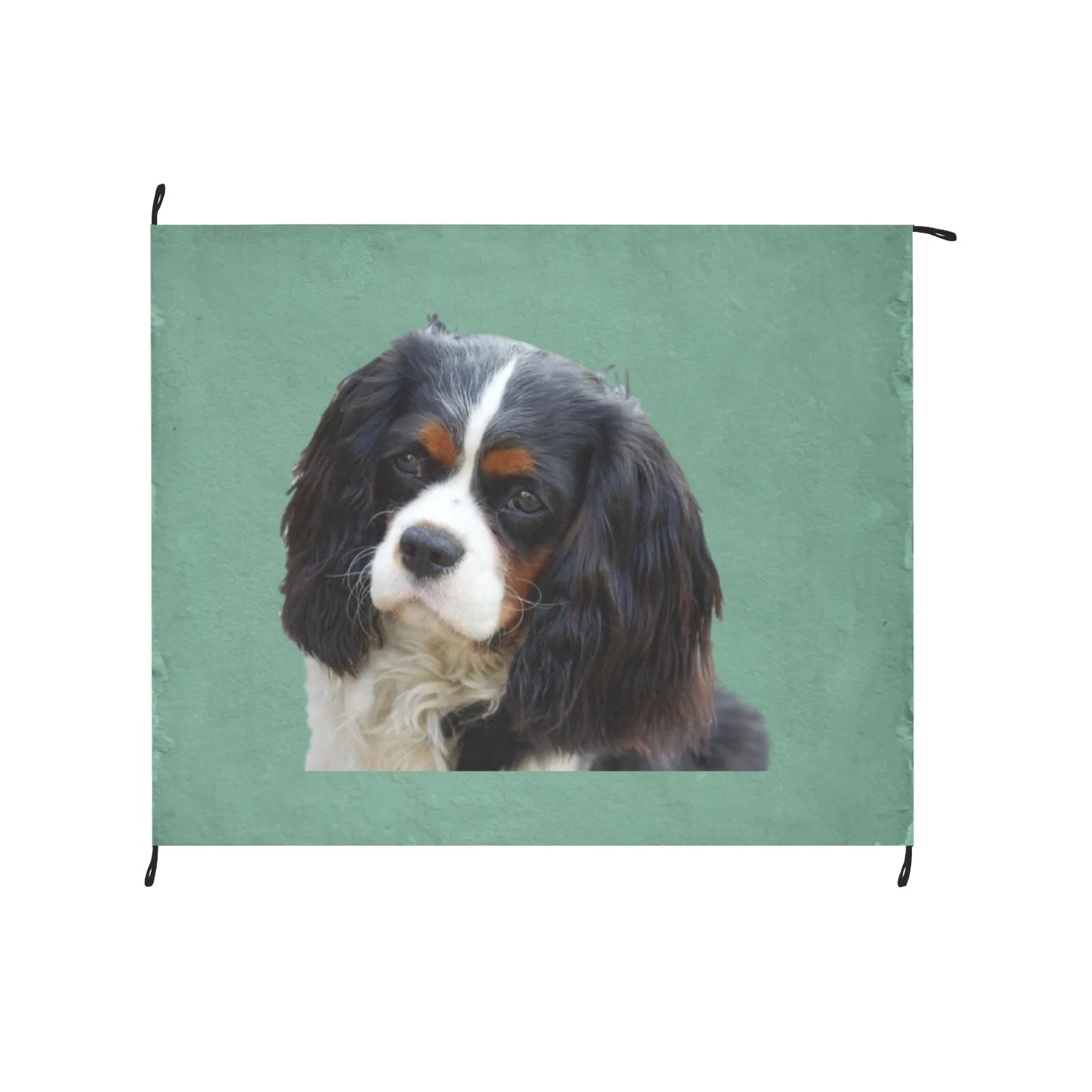 Tri Cavalier King Charles Spaniel Picnic Mat